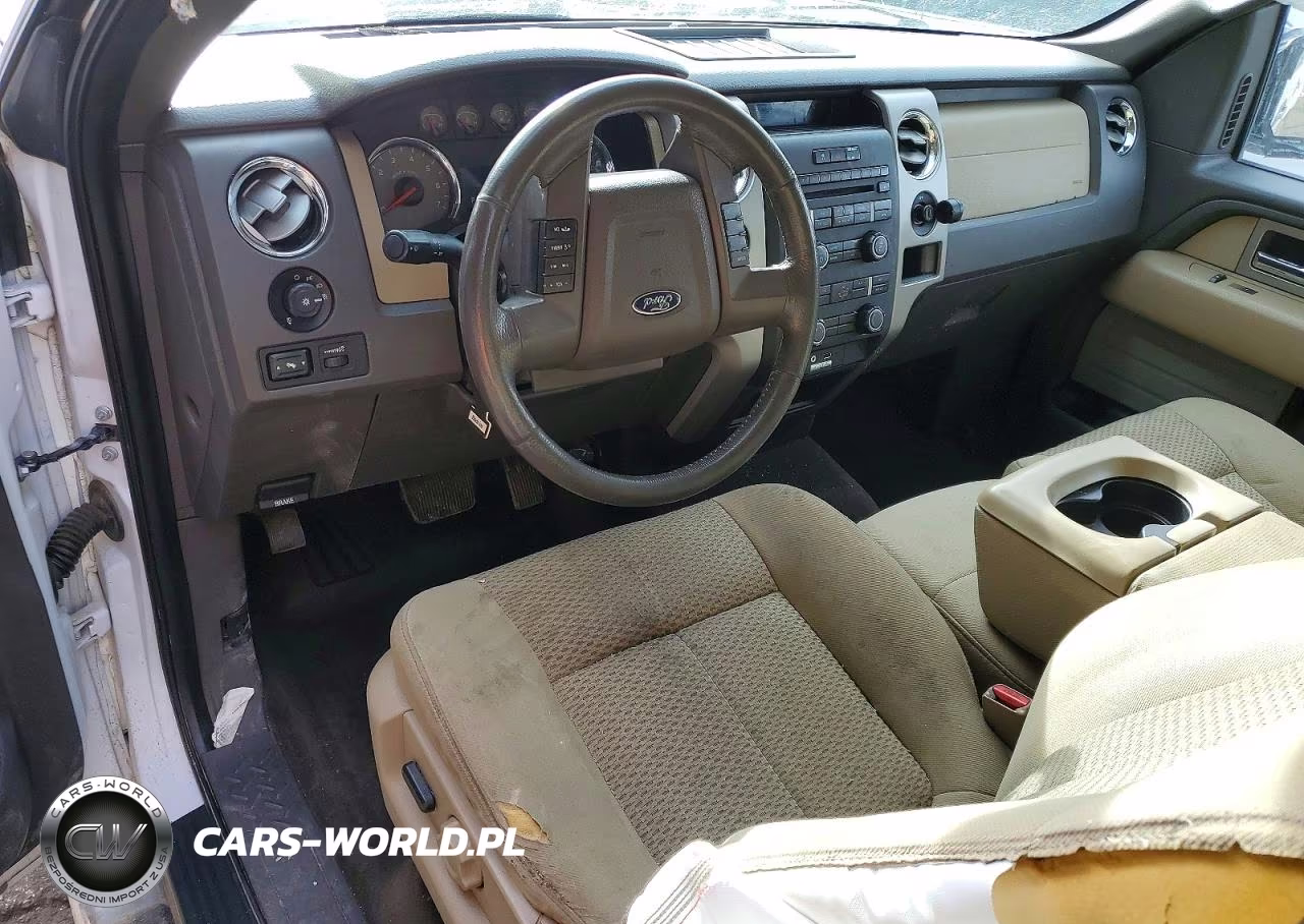 2010 Ford F150 Supercrew VIN:1FTFW1EV0AKB36573 - 8