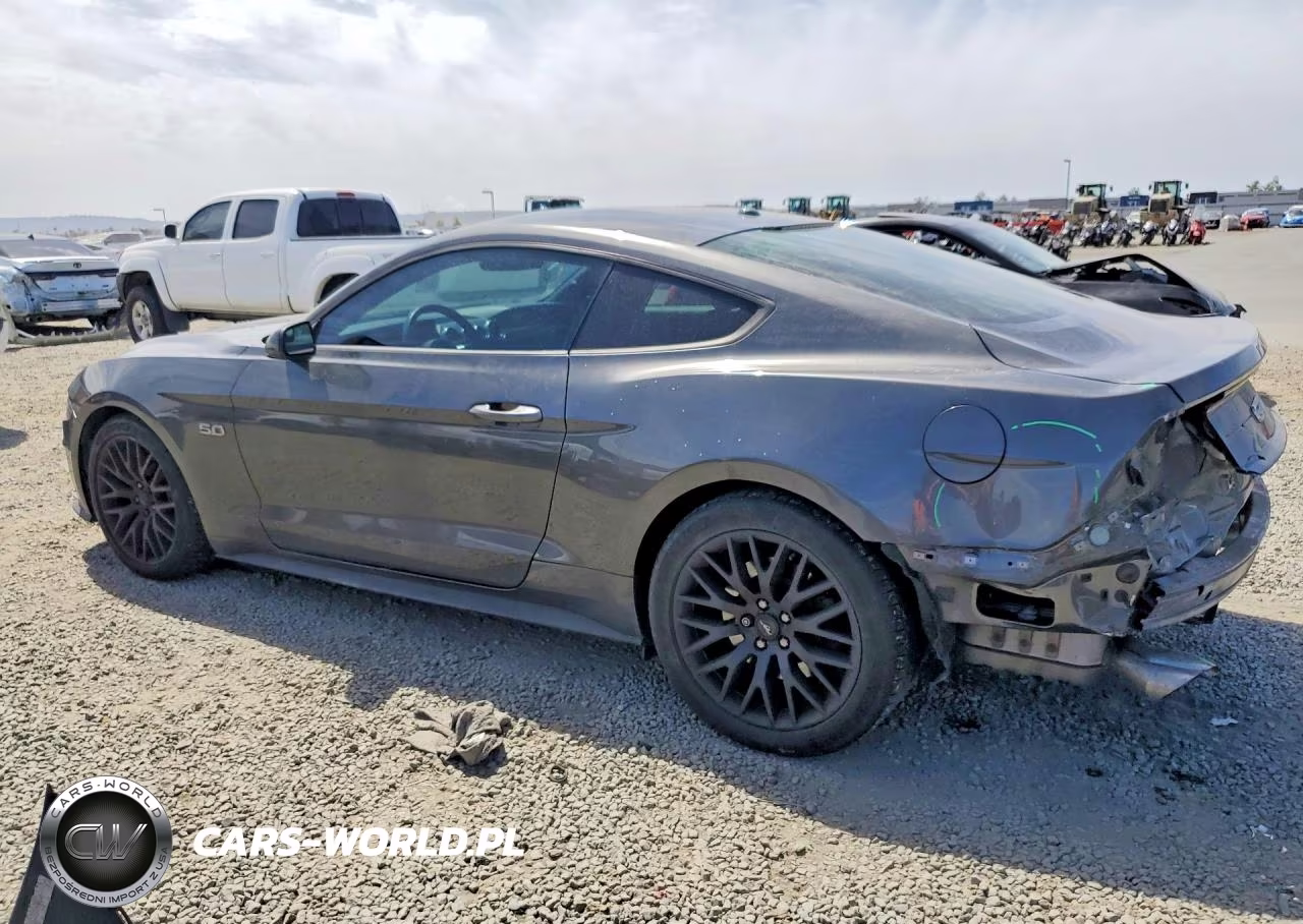2019 Ford Mustang Gt VIN:1FA6P8CF6K5111572 - 2