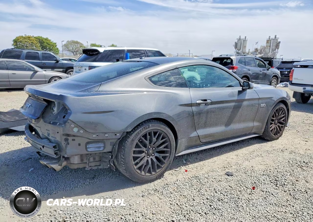 2019 Ford Mustang Gt VIN:1FA6P8CF6K5111572 - 3