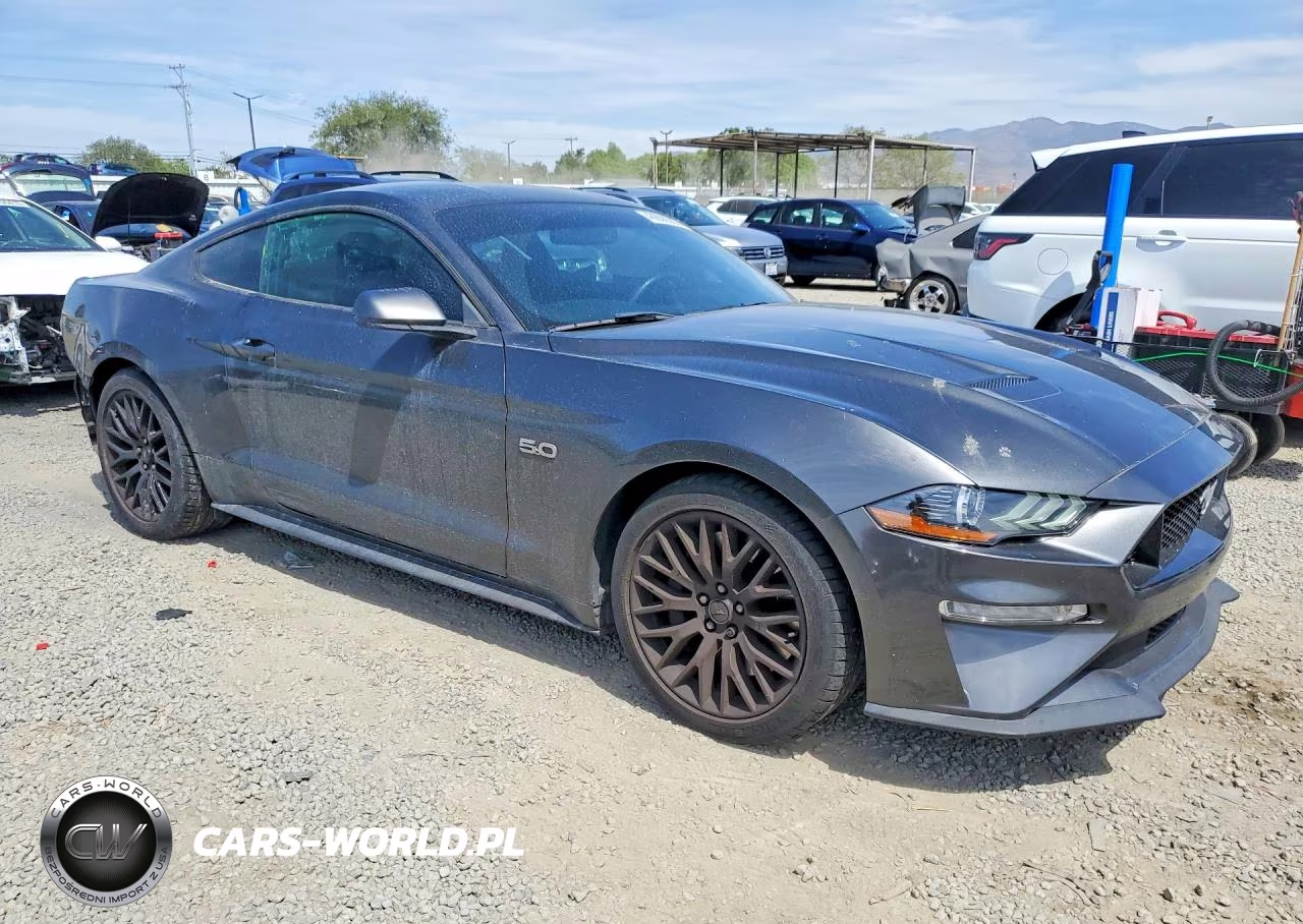 2019 Ford Mustang Gt VIN:1FA6P8CF6K5111572 - 4
