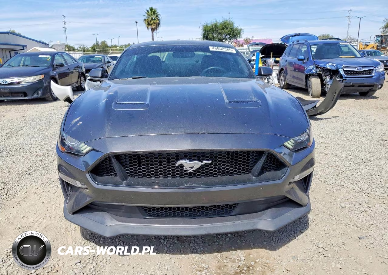 2019 Ford Mustang Gt VIN:1FA6P8CF6K5111572 - 5