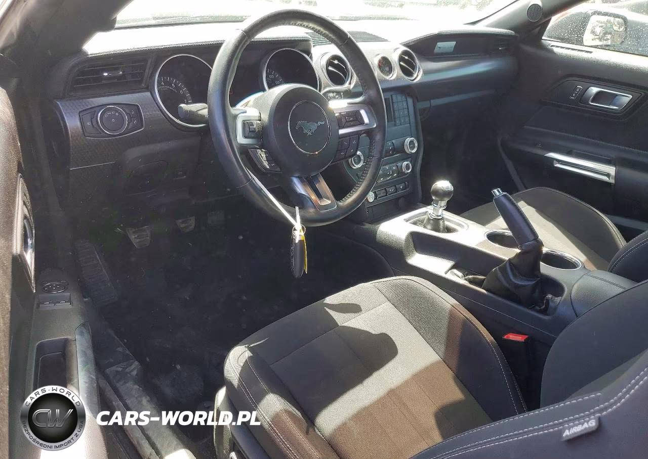 2019 Ford Mustang Gt VIN:1FA6P8CF6K5111572 - 8