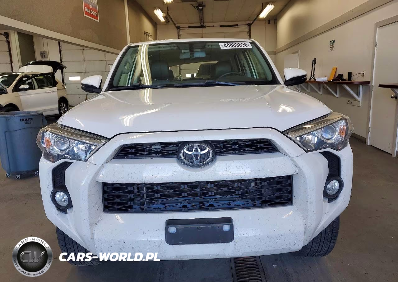 2019 Toyota 4Runner Sr5 Premium VIN:JTEBU5JR8K5730599 - 5