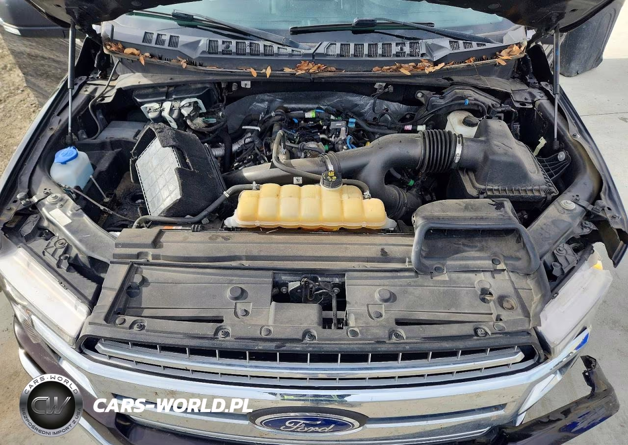 2019 Ford F150 Supercrew VIN:1FTEW1EP5KFC86640 - 11