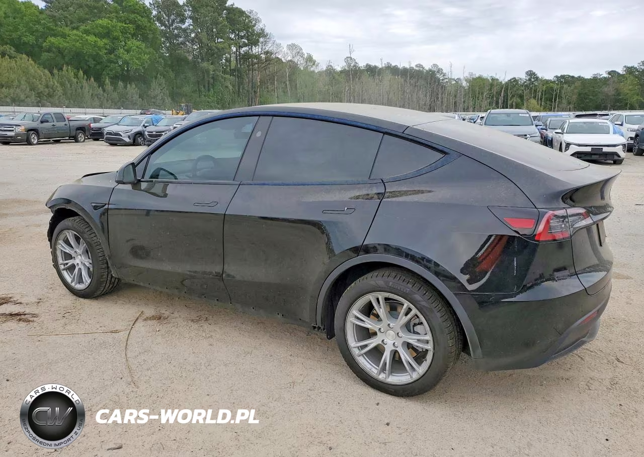 2024 Tesla Model Y VIN:7SAYGDEE0RA221963 - 2