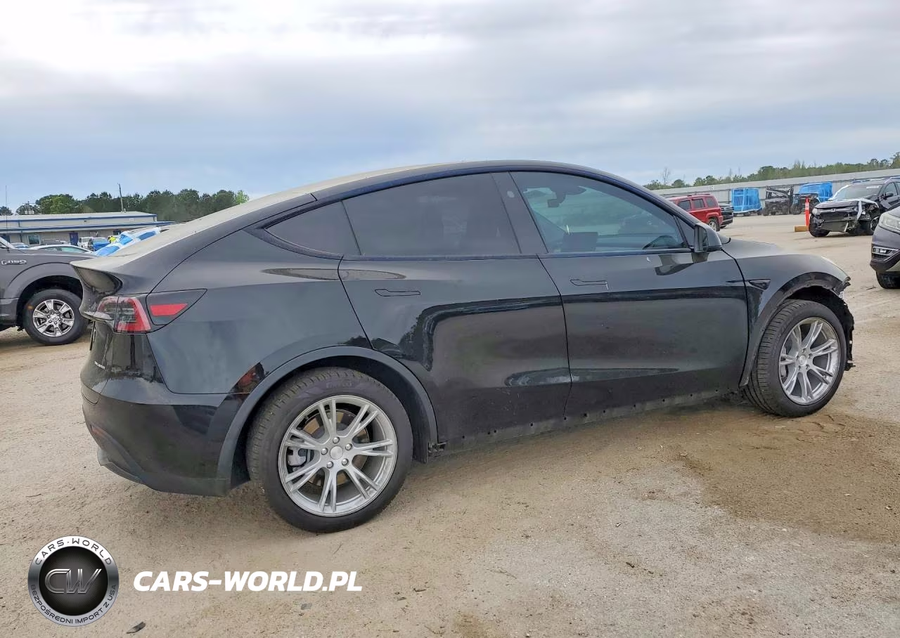 2024 Tesla Model Y VIN:7SAYGDEE0RA221963 - 3