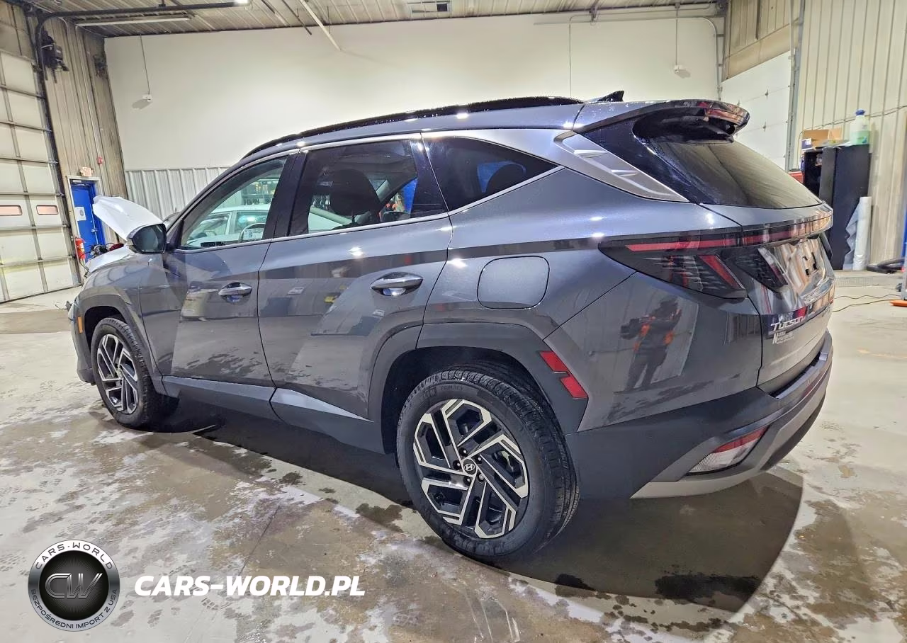 2025 Hyundai Tucson Limited VIN:5NMJECDE5SH496588 - 2
