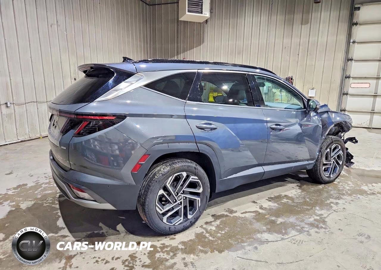 2025 Hyundai Tucson Limited VIN:5NMJECDE5SH496588 - 3