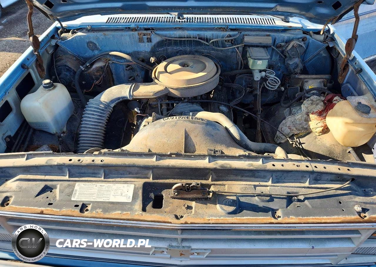1987 Chevrolet R10 VIN:1GCCR14H7HJ133451 - 11