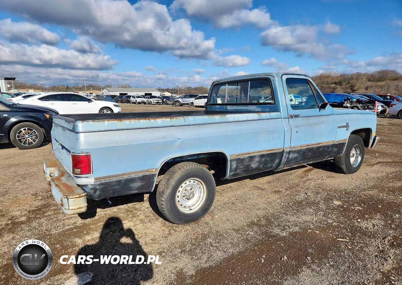 1987 Chevrolet R10 VIN:1GCCR14H7HJ133451 - 3