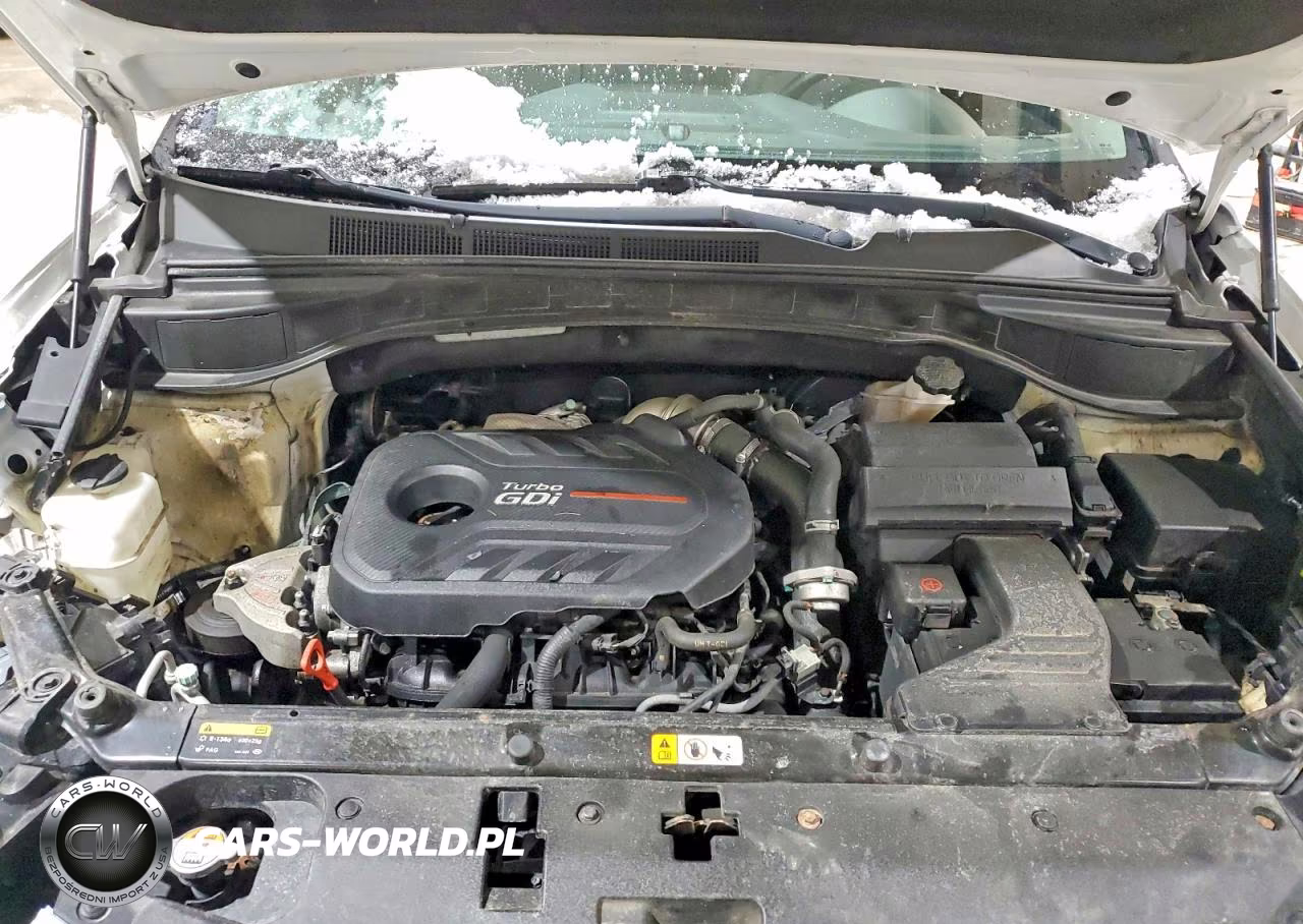 2017 Hyundai Santa Fe Sport 2.0T Ultimate VIN:5XYZWDLA3HG480395 - 12