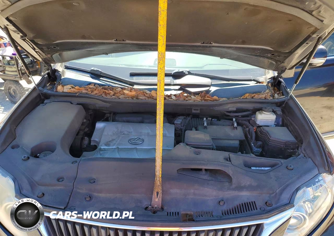 2010 Lexus Rx 350 Base VIN:2T2BK1BA2AC078491 - 12