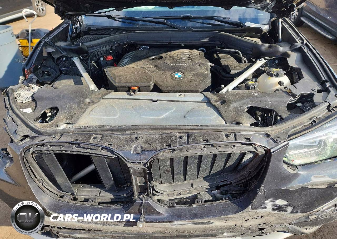 2022 BMW X4 xDrive30I VIN:5UX33DT0XN9M46763 - 11