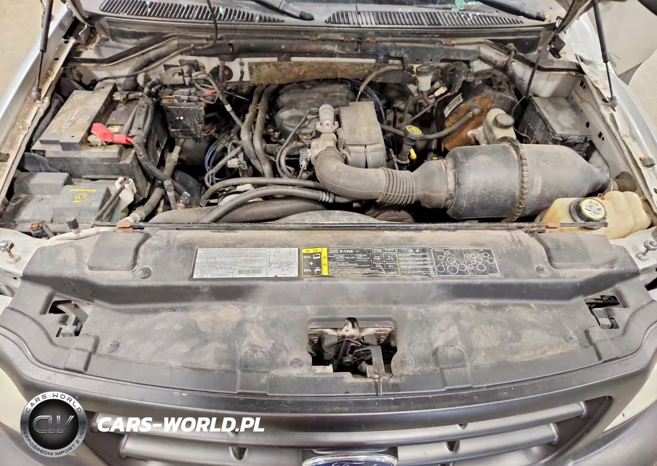 2003 Ford F150 VIN:1FTRF17243NA19435 - 11