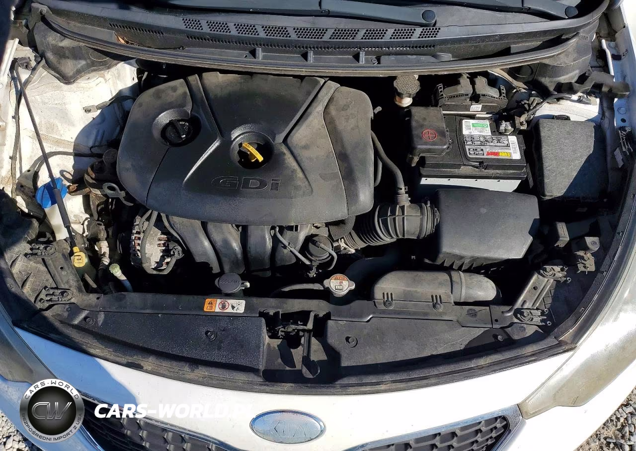 2014 Kia Forte Ex VIN:KNAFX4A87E5091650 - 11