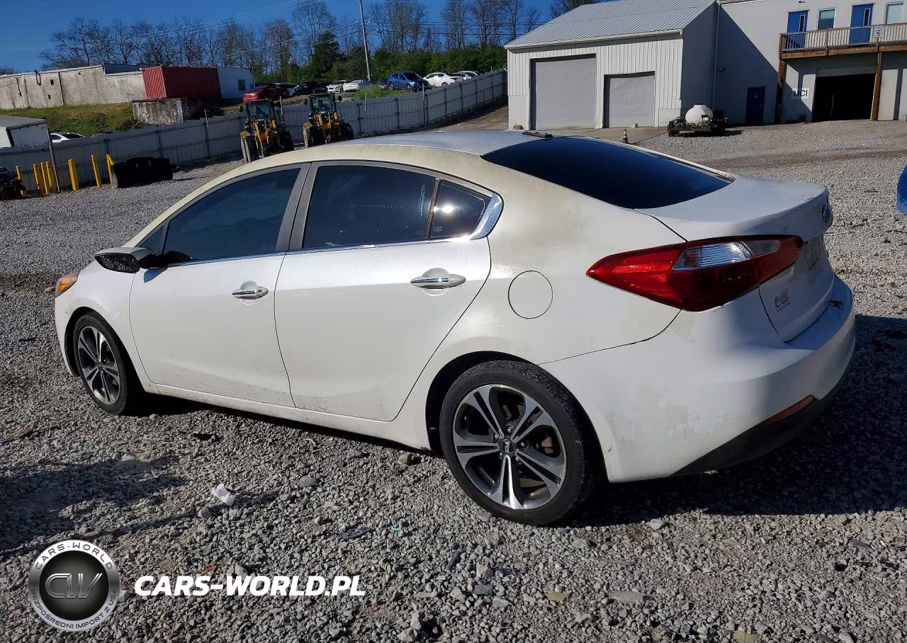 2014 Kia Forte Ex VIN:KNAFX4A87E5091650 - 2