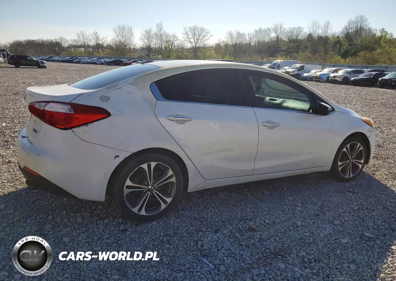 2014 Kia Forte Ex VIN:KNAFX4A87E5091650 - 3