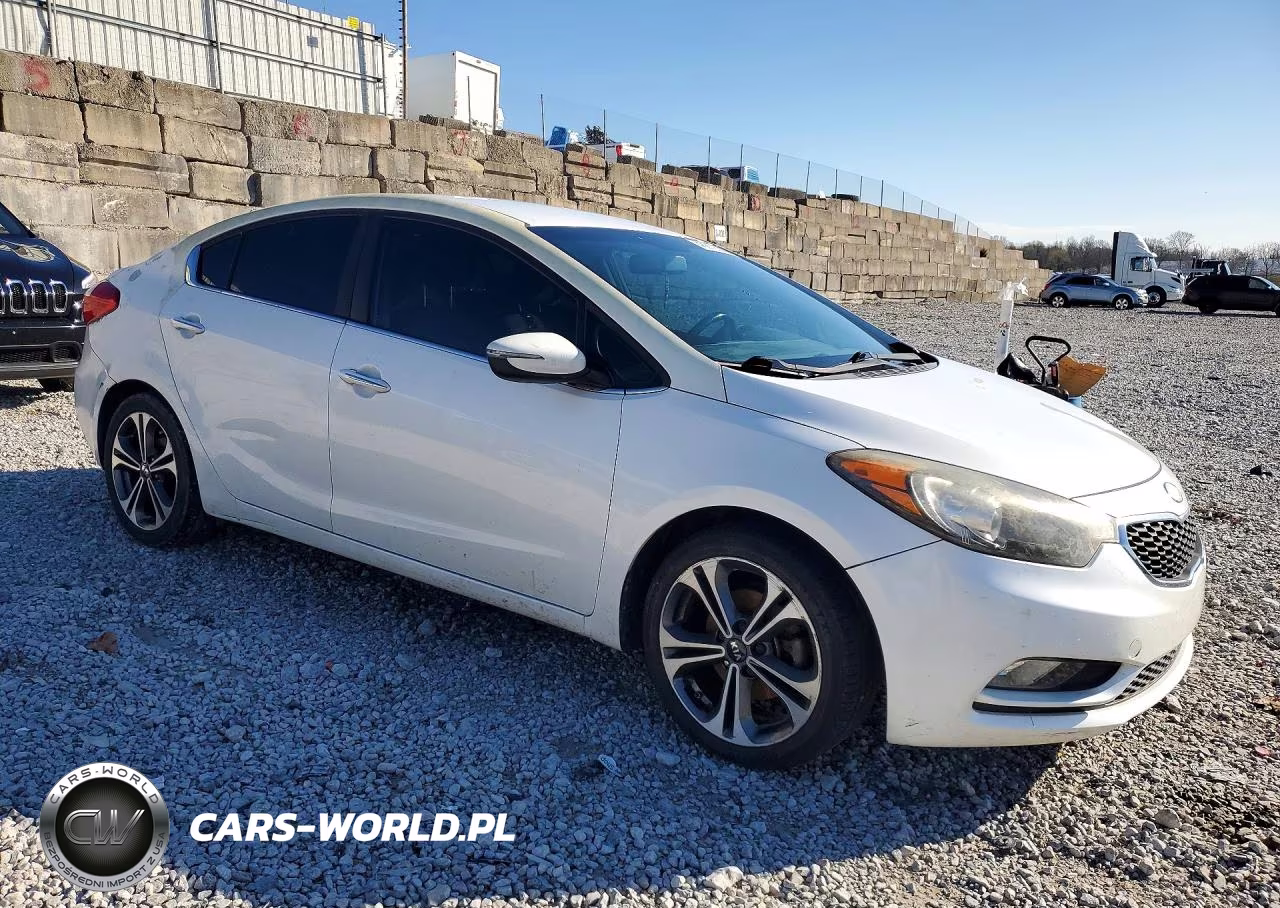 2014 Kia Forte Ex VIN:KNAFX4A87E5091650 - 4