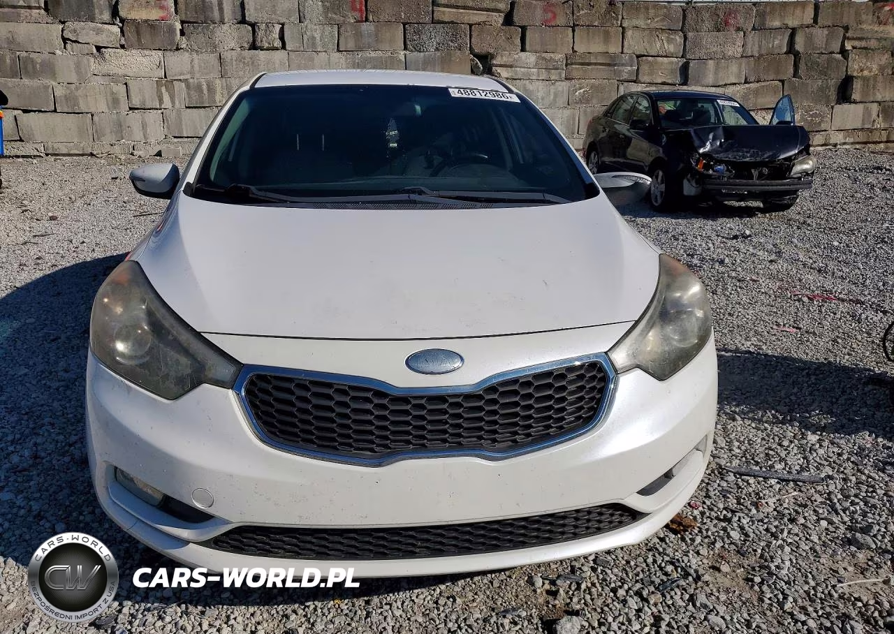 2014 Kia Forte Ex VIN:KNAFX4A87E5091650 - 5