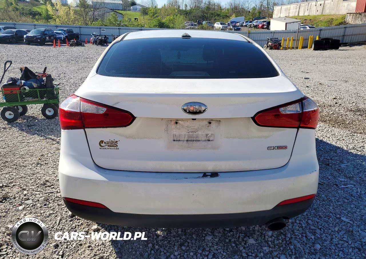 2014 Kia Forte Ex VIN:KNAFX4A87E5091650 - 6