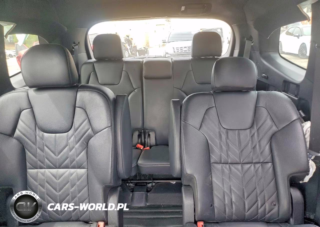 2023 Kia Telluride Ex X-Line VIN:5XYP3DGC1PG340971 - 10