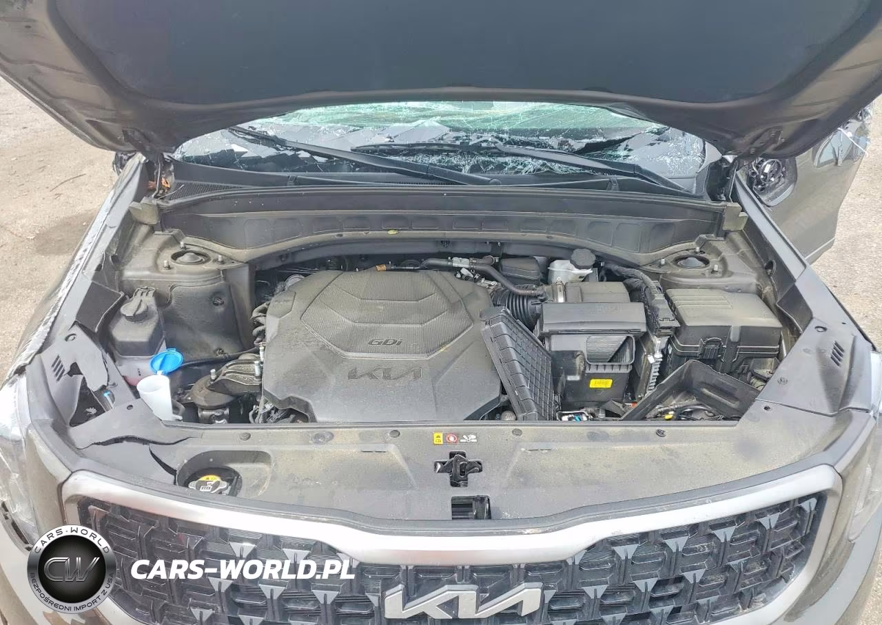 2023 Kia Telluride Ex X-Line VIN:5XYP3DGC1PG340971 - 12