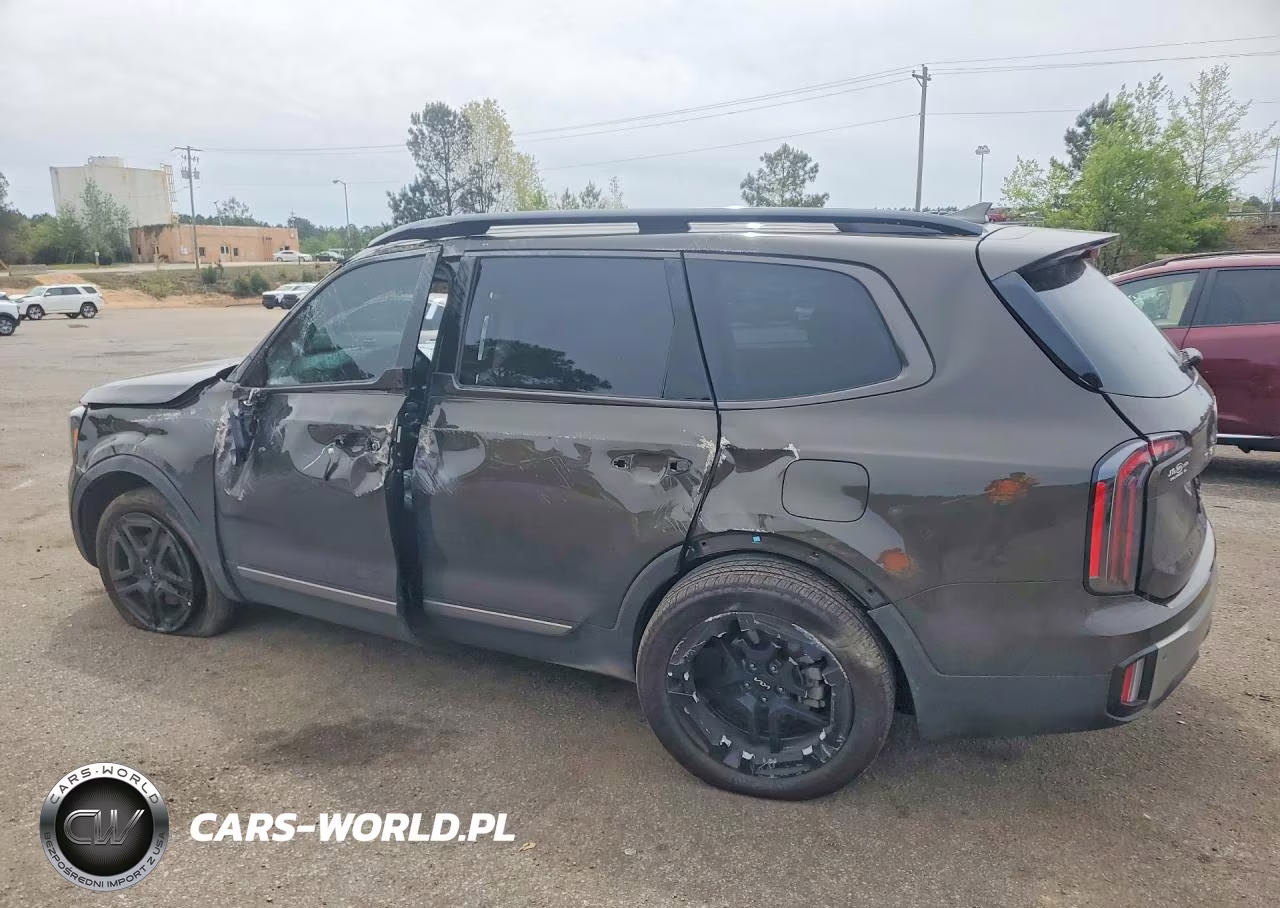 2023 Kia Telluride Ex X-Line VIN:5XYP3DGC1PG340971 - 2