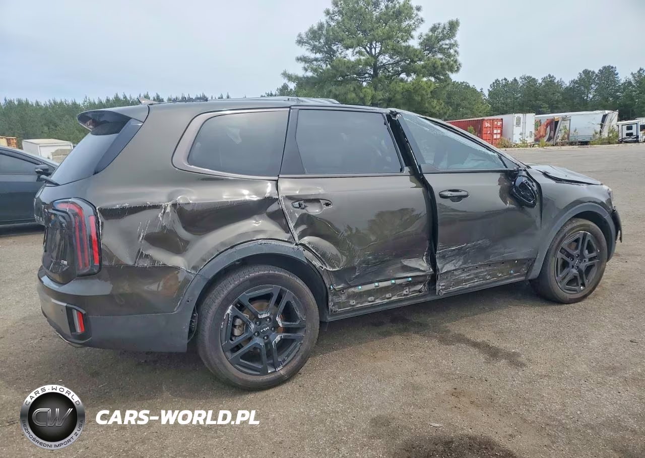 2023 Kia Telluride Ex X-Line VIN:5XYP3DGC1PG340971 - 3