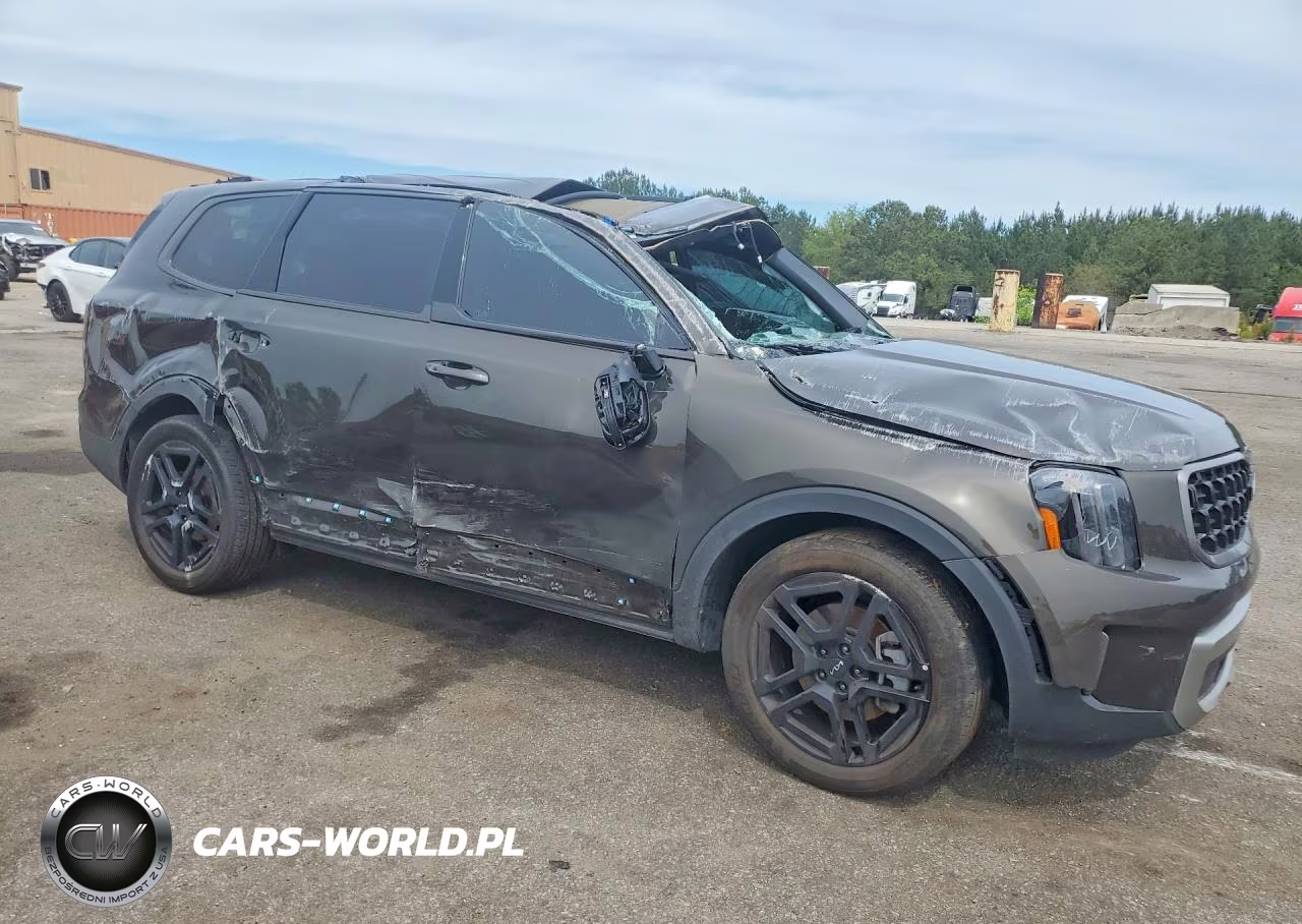 2023 Kia Telluride Ex X-Line VIN:5XYP3DGC1PG340971 - 4