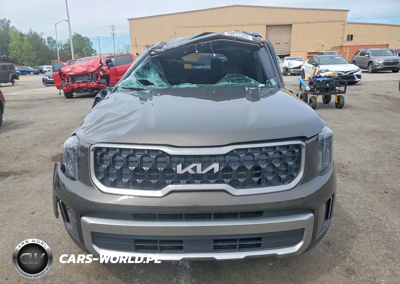 2023 Kia Telluride Ex X-Line VIN:5XYP3DGC1PG340971 - 5