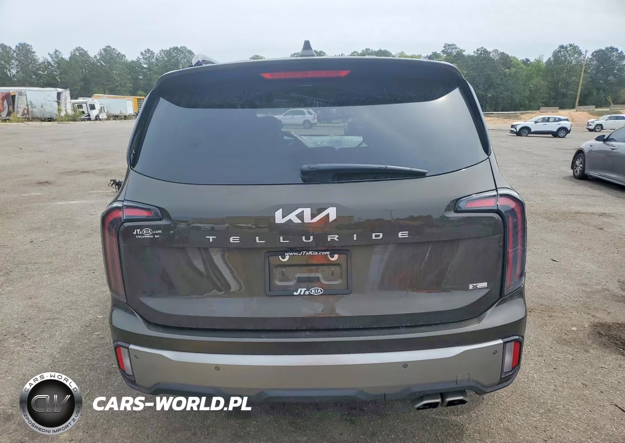 2023 Kia Telluride Ex X-Line VIN:5XYP3DGC1PG340971 - 6