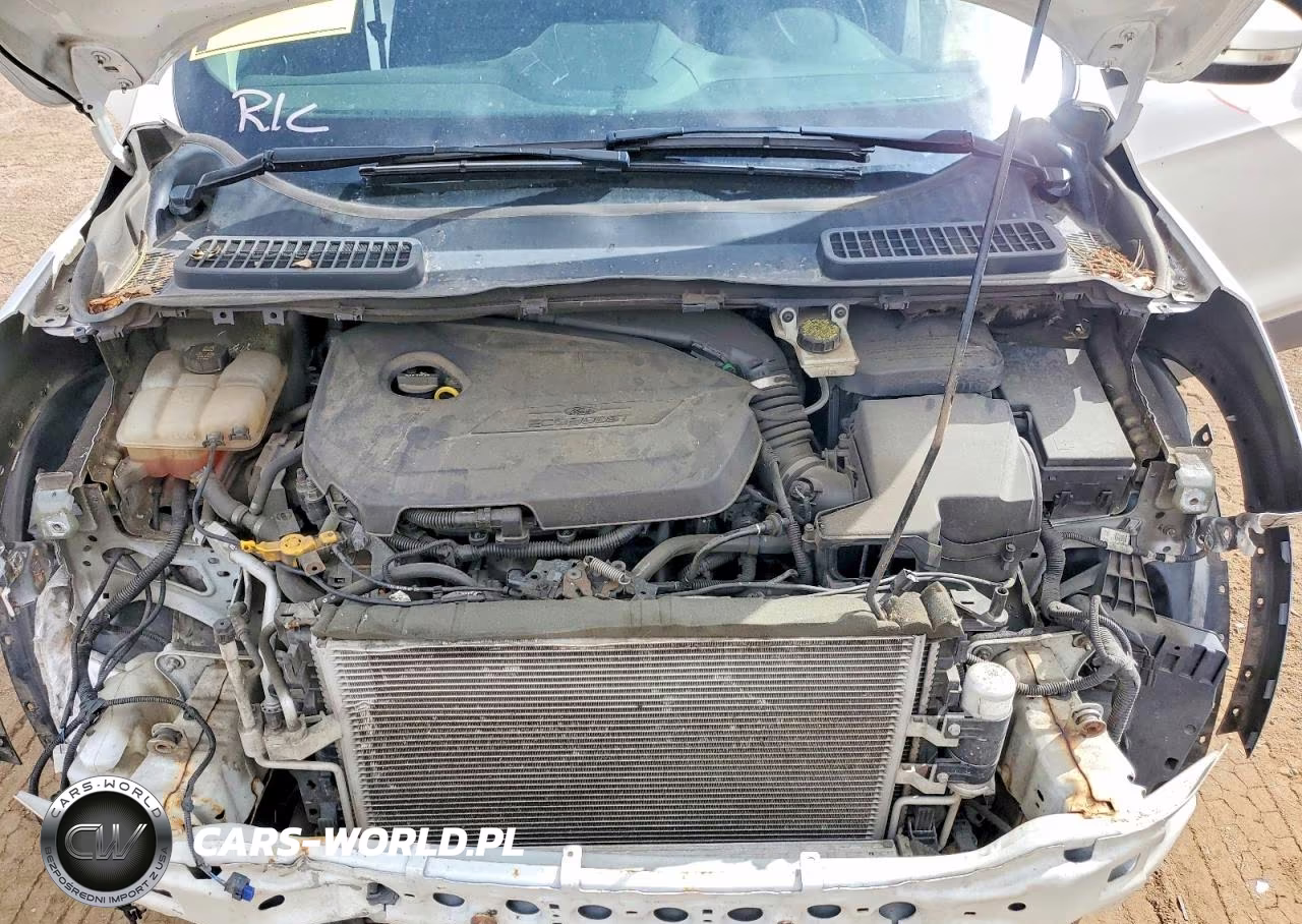 2014 Ford Escape Titanium VIN:1FMCU9JXXEUE48789 - 11