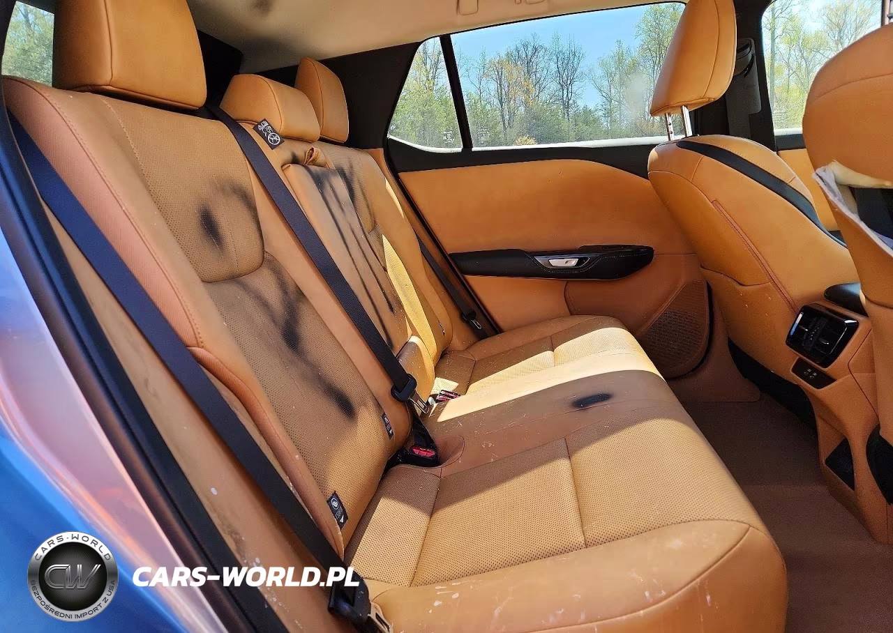 2025 Lexus Rz 450E Premium VIN:JTJAAAAB3SA031745 - 11