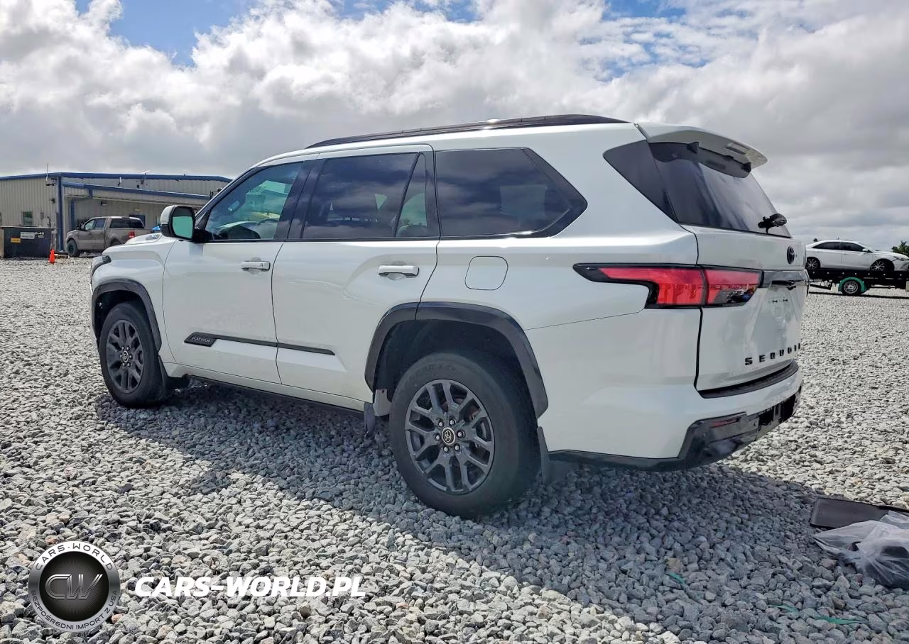 2023 Toyota Sequoia Platinum VIN:7SVAAABA1PX012579 - 2