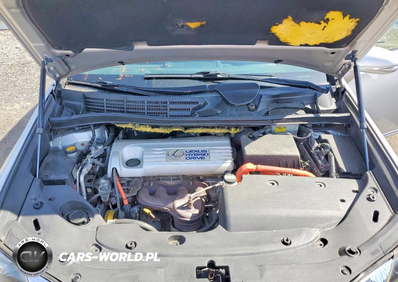 2010 Lexus Hs 250H Base VIN:JTHBB1BA2A2005381 - 11