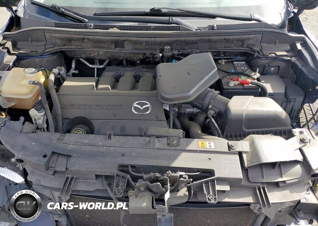 2010 Mazda Cx-9 VIN:JM3TB3MV2A0211840 - 11