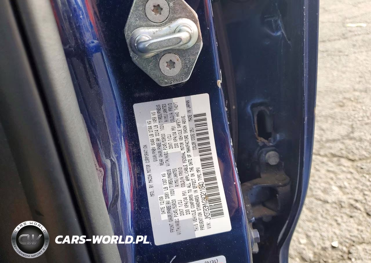 2010 Mazda Cx-9 VIN:JM3TB3MV2A0211840 - 12