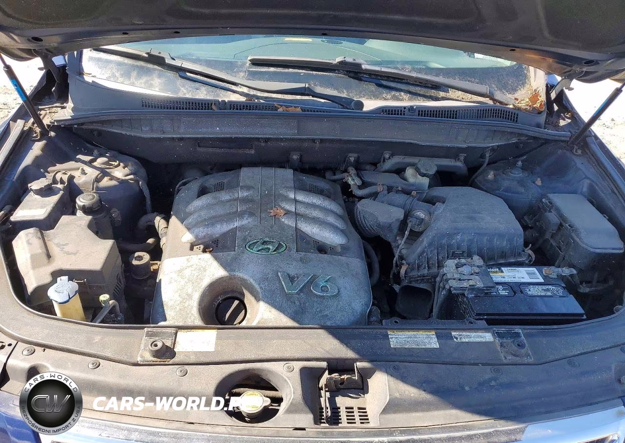 2007 Hyundai Veracruz Gls VIN:KM8NU13C47U007800 - 12