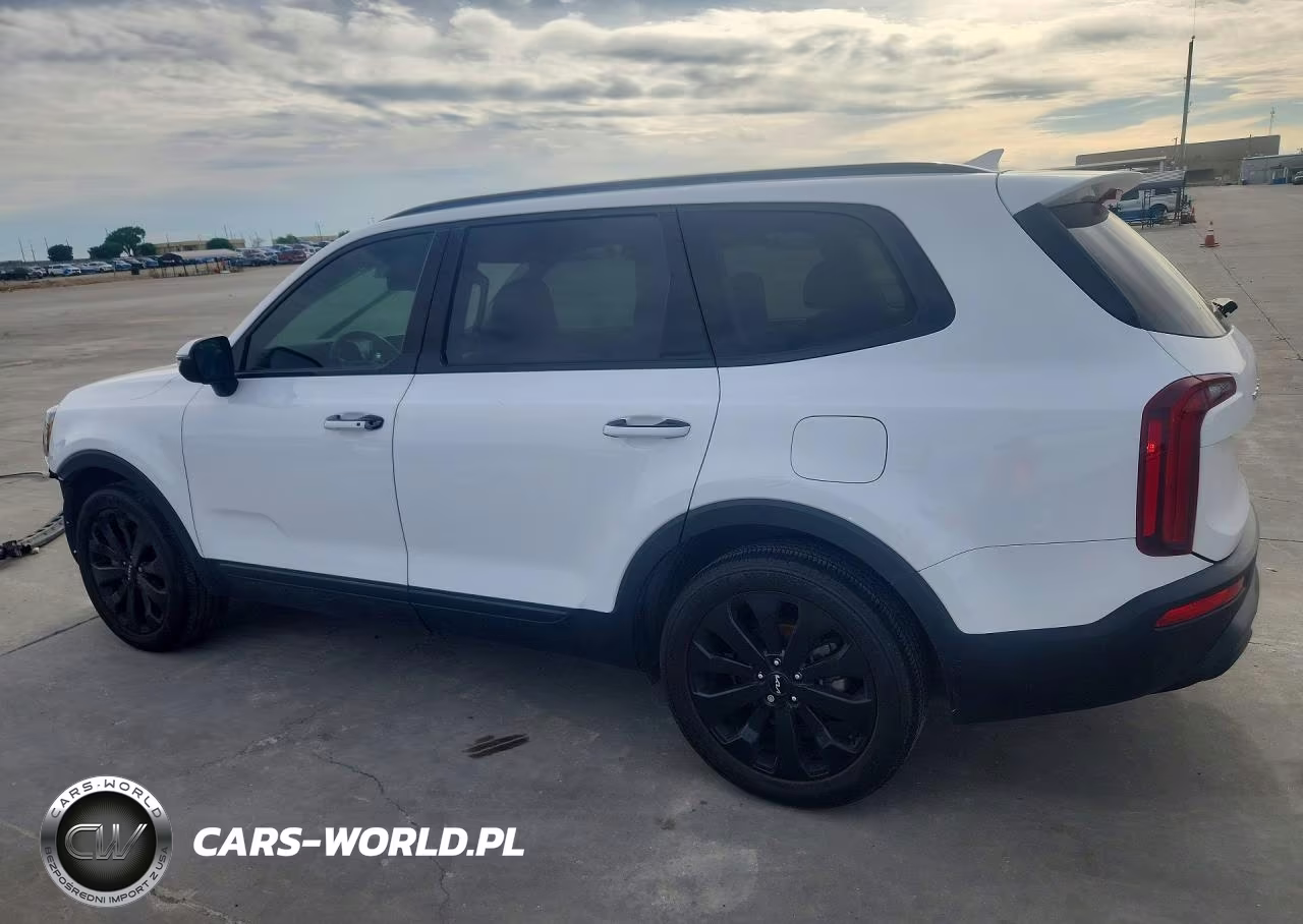 2022 Kia Telluride S VIN:5XYP64HC7NG256950 - 2