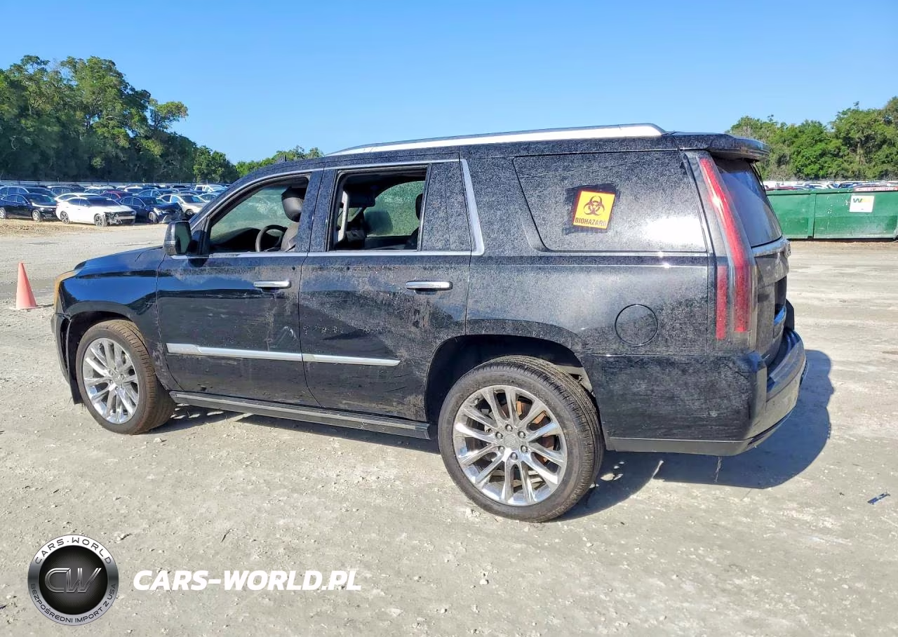 2019 Cadillac Escalade Premium Luxury VIN:1GYS3CKJ9KR394341 - 2
