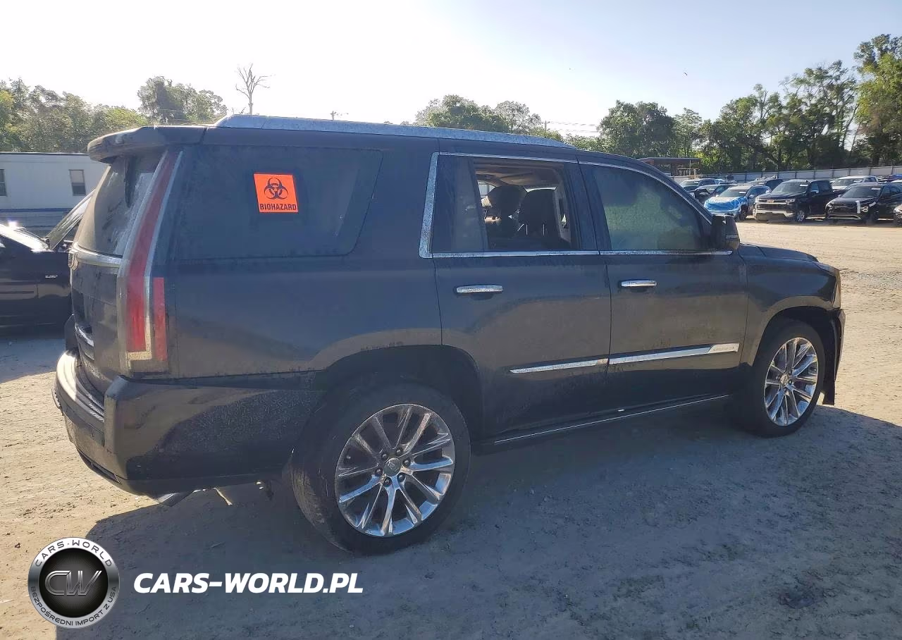 2019 Cadillac Escalade Premium Luxury VIN:1GYS3CKJ9KR394341 - 3