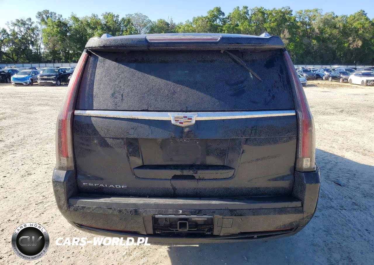 2019 Cadillac Escalade Premium Luxury VIN:1GYS3CKJ9KR394341 - 6