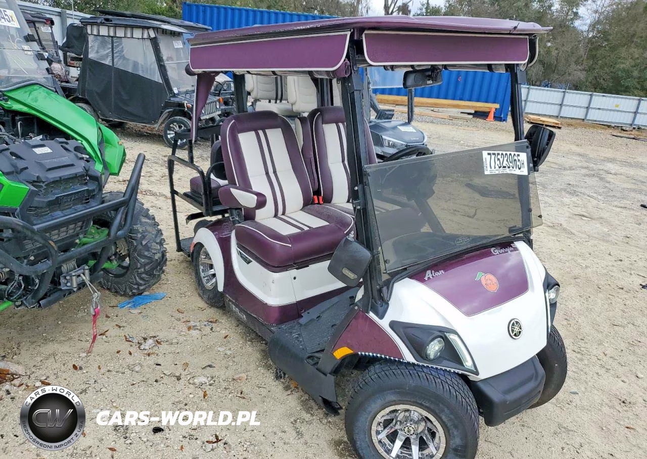 2021 Yama Unknown - Golf Cart