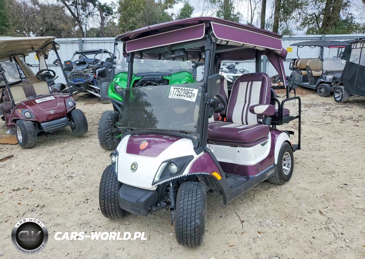 2021 Yama Unknown - Golf Cart VIN:J0B214911 - 2