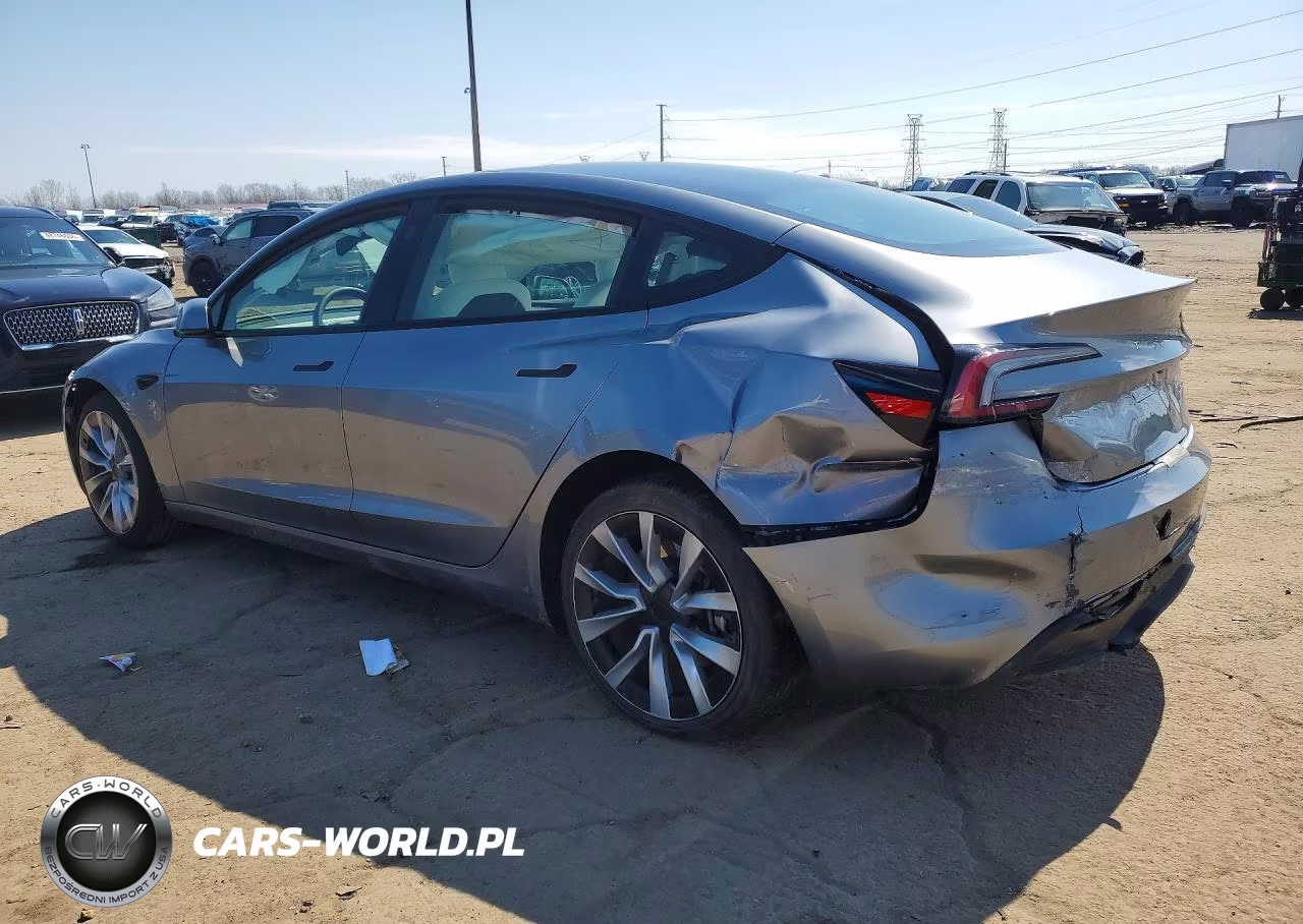 2025 Tesla Model 3 VIN:5YJ3E1EA3SF048585 - 2