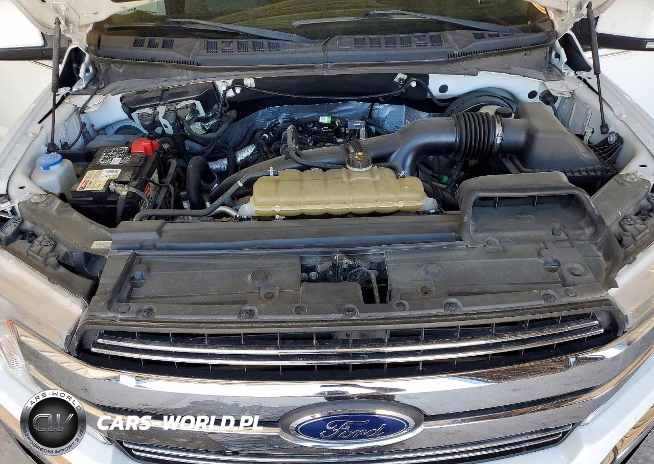2019 Ford F150 Supercrew VIN:1FTEW1CP1KKD25802 - 11