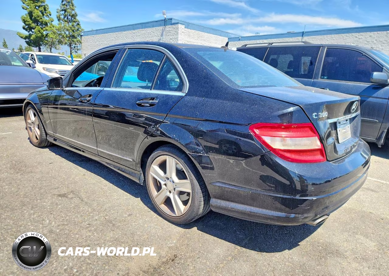 2010 Mercedes-Benz C 300 VIN:WDDGF5EB6AR128251 - 2