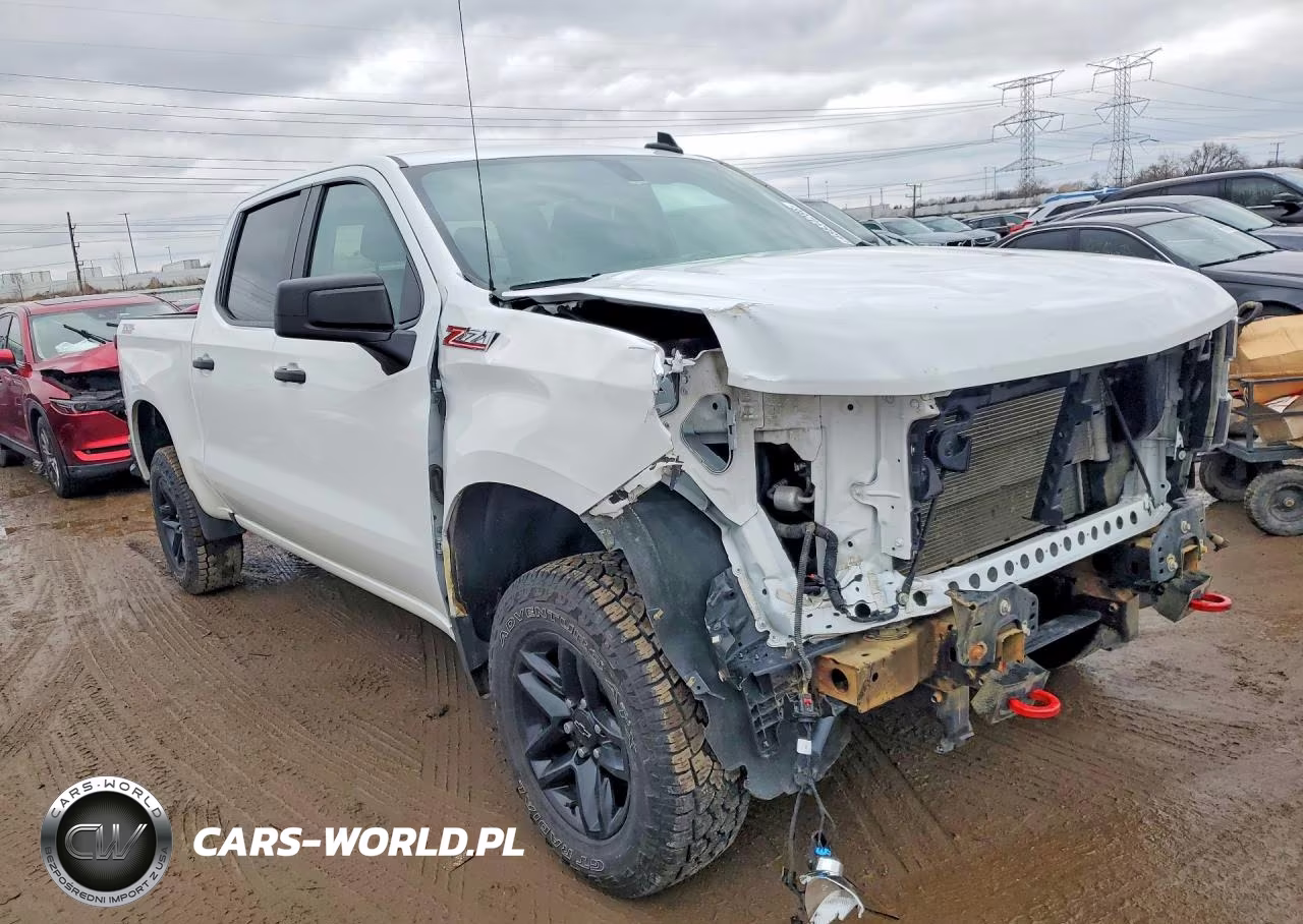 2021 Chevrolet Silverado K1500 Trail Boss Custom VIN:1GCPYCEF3MZ329959 - 4