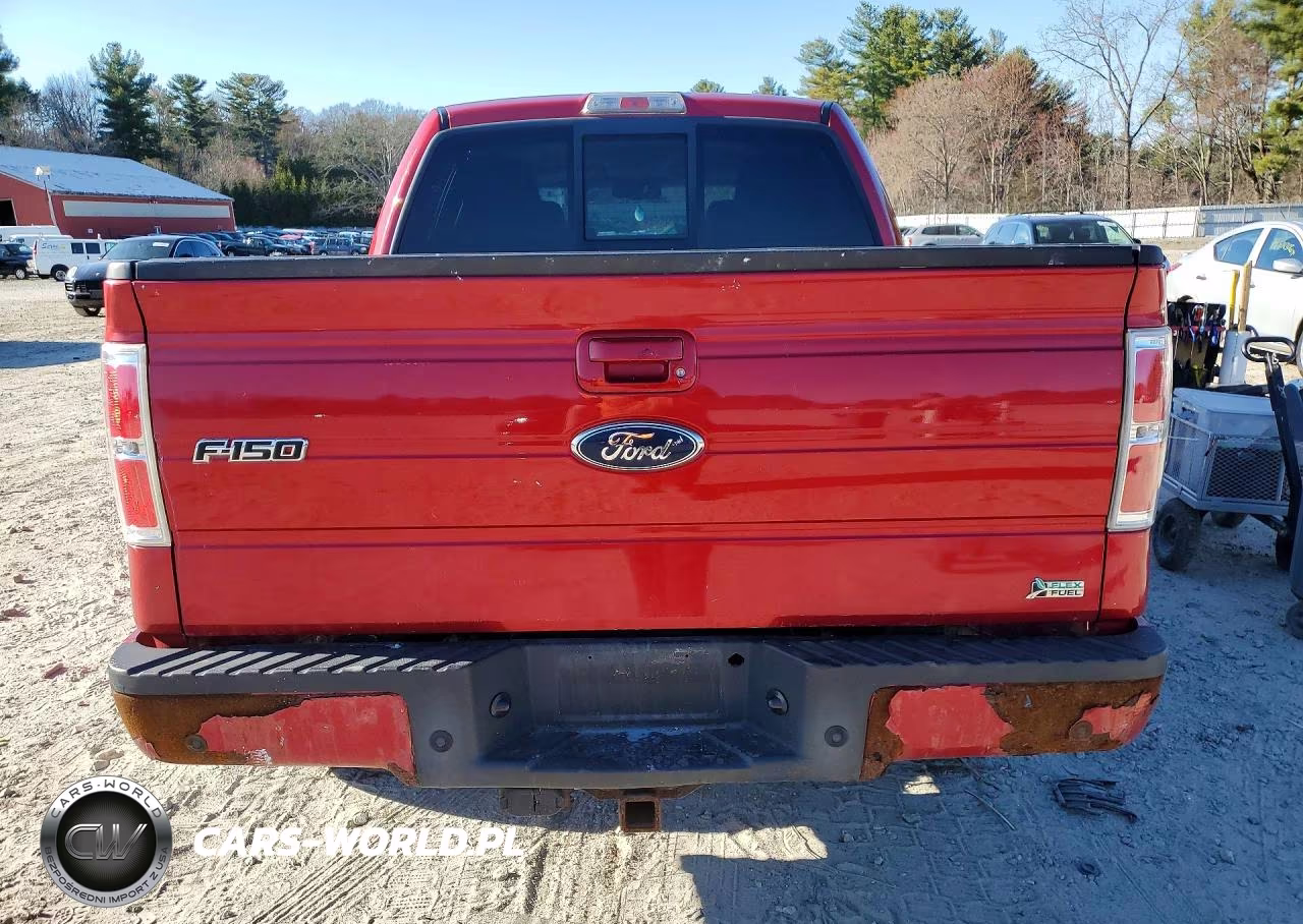 2010 Ford F150 Supercrew VIN:1FTFW1EV1AFC09555 - 6