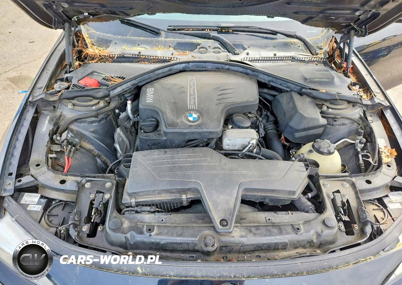 2014 BMW 428 Xi VIN:WBA3N9C5XEF720210 - 11